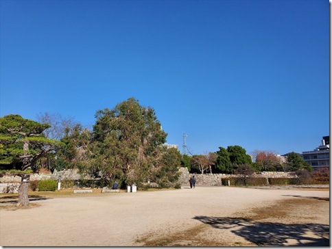 HR222ORDEY310R HR222ORDEY310R