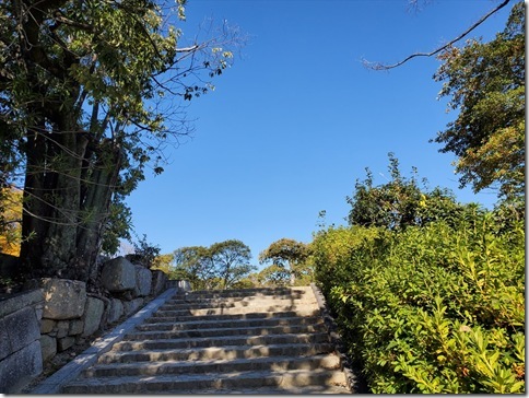 HR222ORDEY343R HR222ORDEY343R