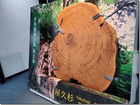 KGS22DCC759 KGS22DCC759